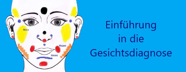 Read more about the article Online-Seminar: Einführung in die Patho-Physiognomik